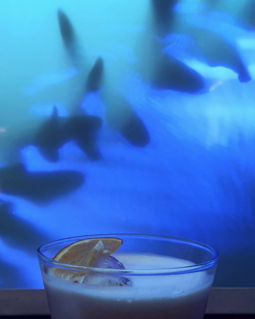 A closeup shot of a glass of Coco Crush, one of Tortuga's signature cocktails. Only the rim and a portion of the top serves as the foreground, while what seems to be a portion of a large glass aquarium serves as the background.